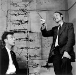 watson and crick