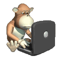 monkey