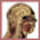 headshot icon