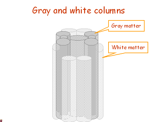 gray and whiite columns
