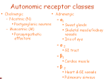 autonomic receptors