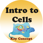 introduction to Cells badge