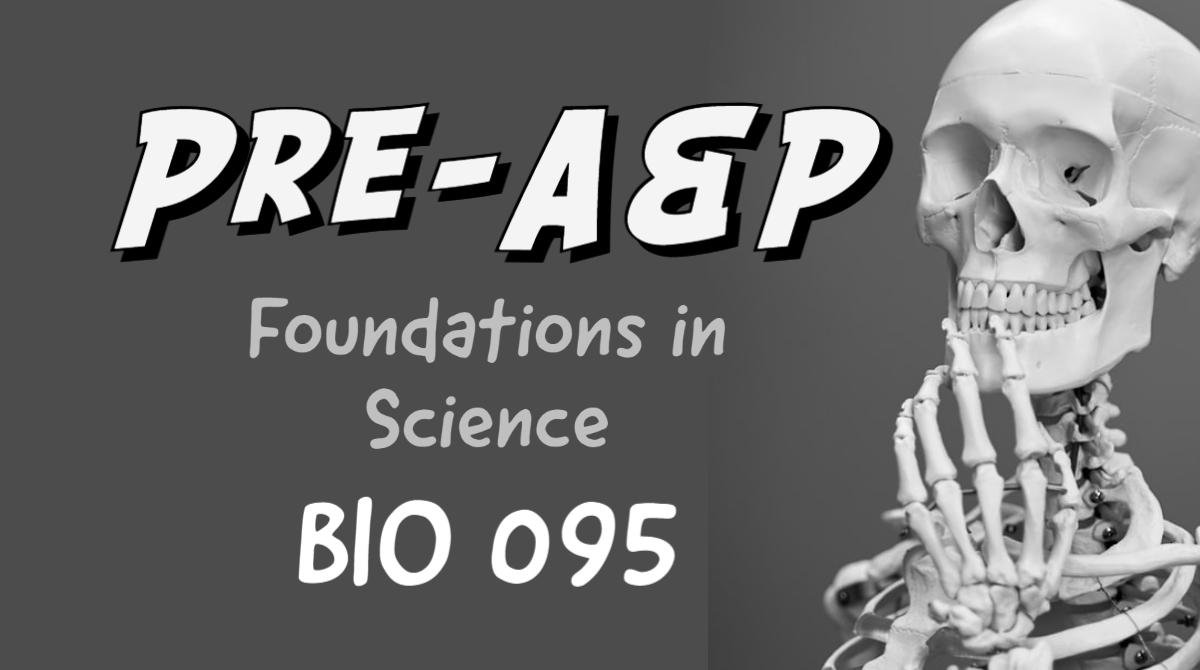 photo of upper skeleton with caption, Pre-A&P, Foundations in Science, BIO 095