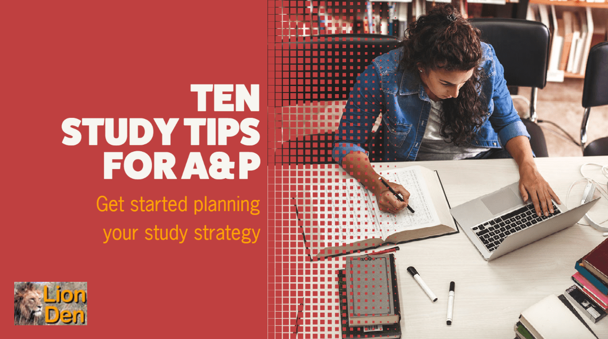photo of person studying; text: ten study tips for A&P, get started planning your study strategy